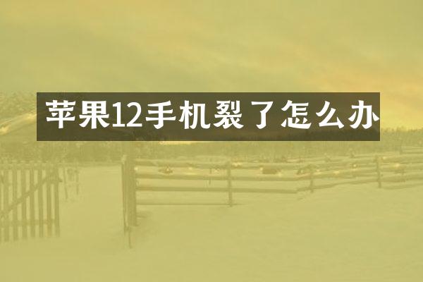 苹果12手机裂了怎么办