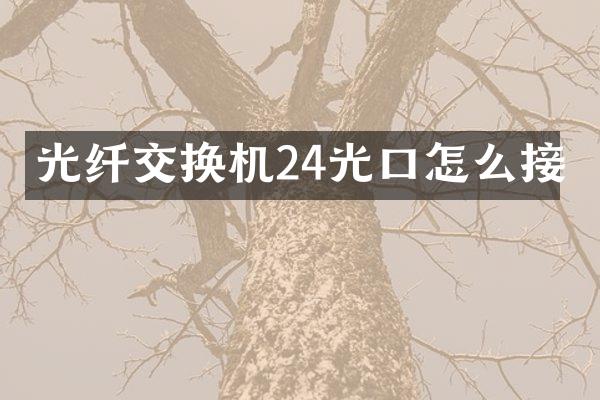 光纤交换机24光口怎么接