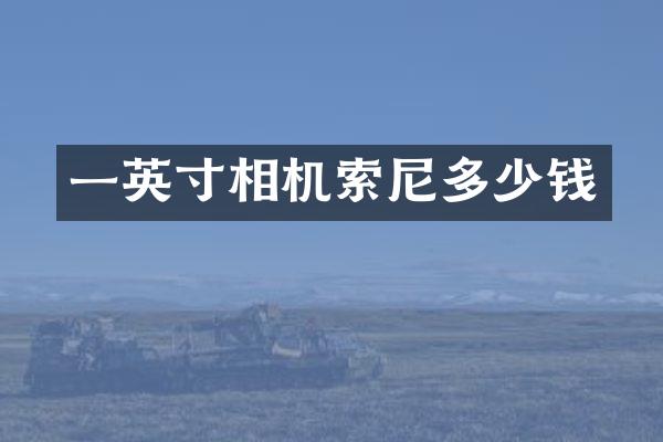 一英寸相机多少钱