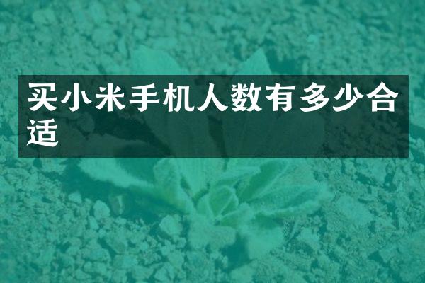 买小米手机人数有多少合适