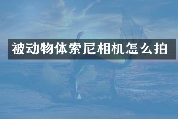 被动物体相机怎么拍