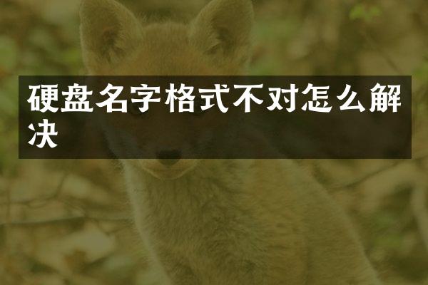 硬盘名字格式不对怎么解决