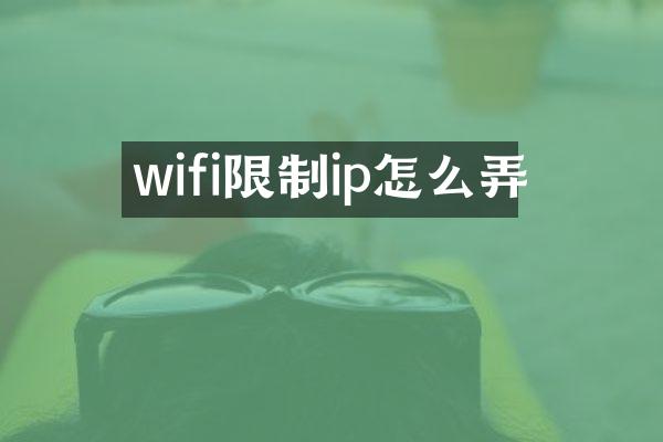 wifi限制ip怎么弄