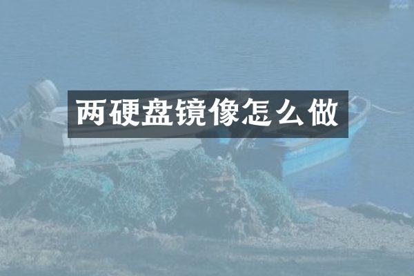 两硬盘镜像怎么做