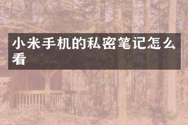 小米手机的私密笔记怎么看
