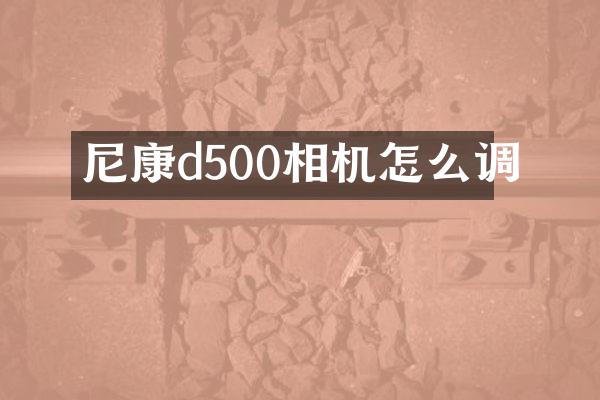尼康d500相机怎么调