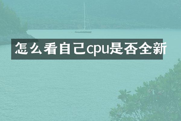 怎么看自己cpu是否全新