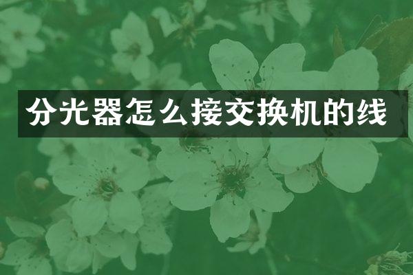 分光器怎么接交换机的线
