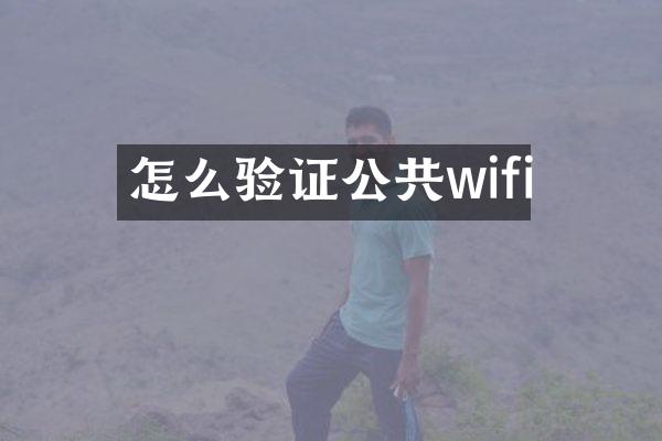 怎么验证公共wifi
