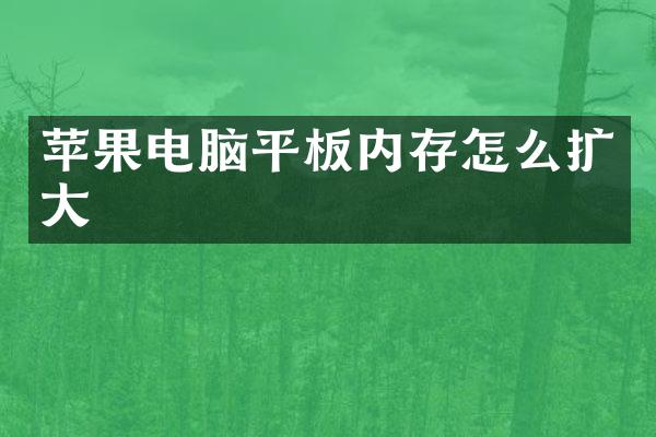 苹果电脑平板内存怎么扩大