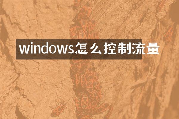 windows怎么控制流量