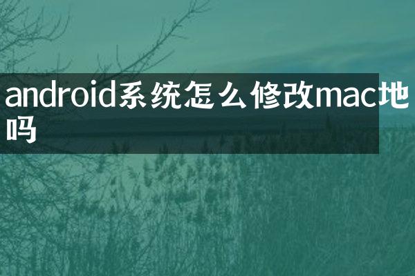android系统怎么修改mac地址吗