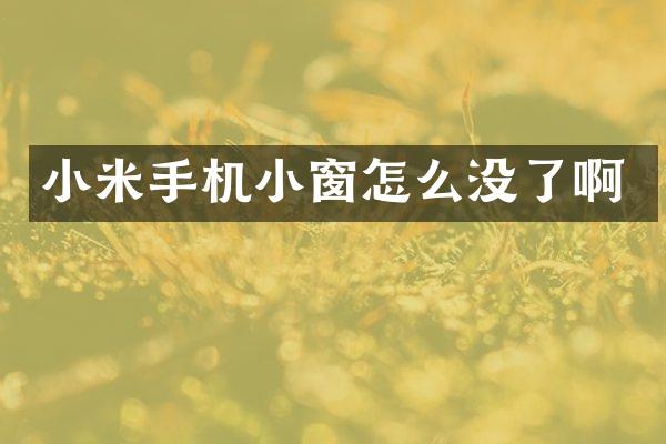 小米手机小窗怎么没了啊
