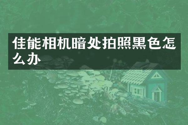 佳能相机暗处拍照黑色怎么办