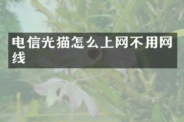 电信光猫怎么上网不用网线