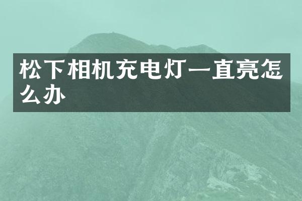 相机充电灯一直亮怎么办