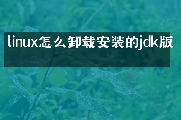 linux怎么卸载安装的jdk版本