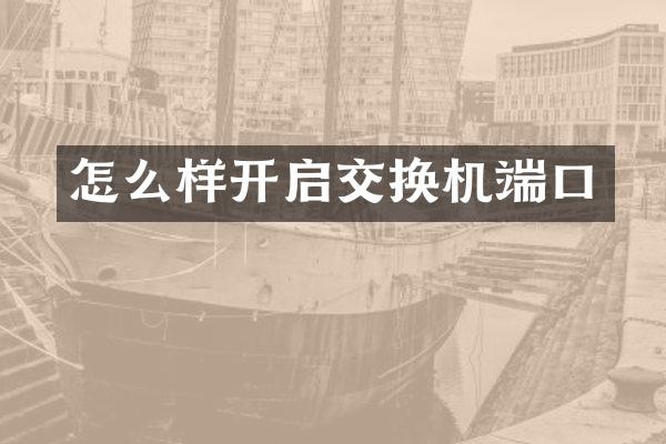 怎么样开启交换机端口