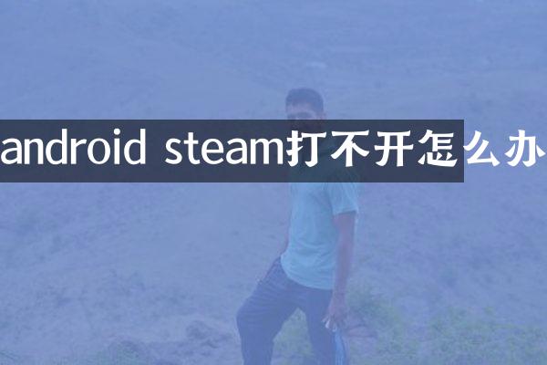 android steam打不开怎么办