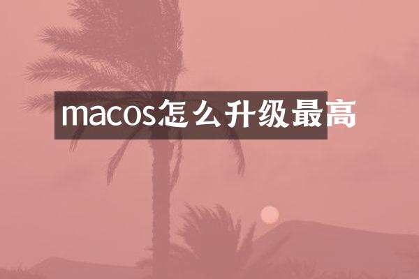 macos怎么升级最高