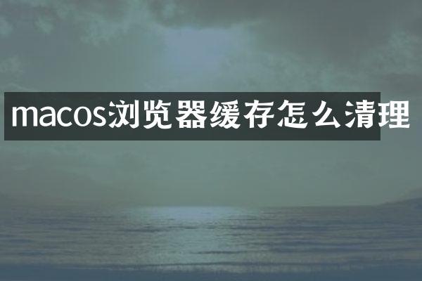macos浏览器缓存怎么清理