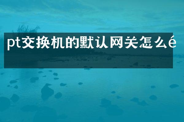 pt交换机的默认网关怎么配