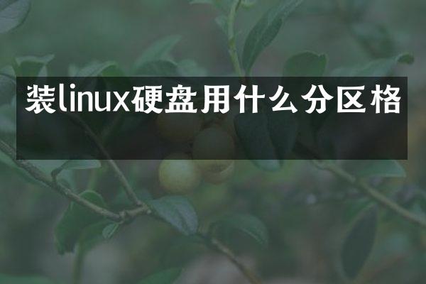 装linux硬盘用什么分区格式