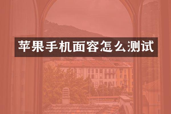 苹果手机面容怎么测试