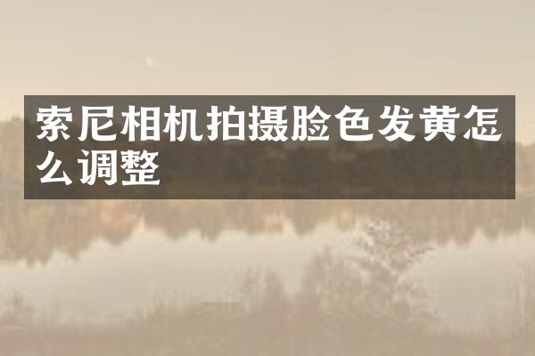 索尼相机拍摄脸色发黄怎么调整