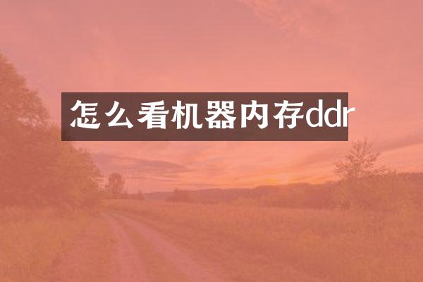 怎么看机器内存ddr
