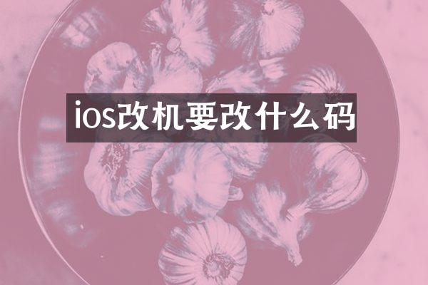 ios改机要改什么码