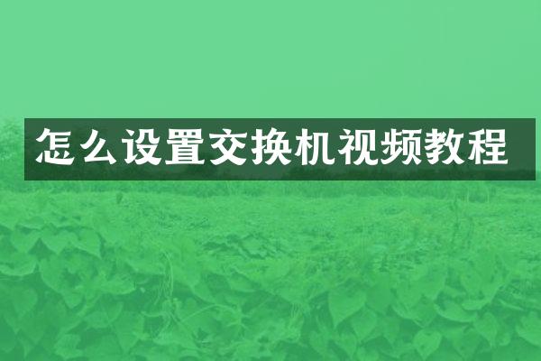 怎么设置交换机视频教程
