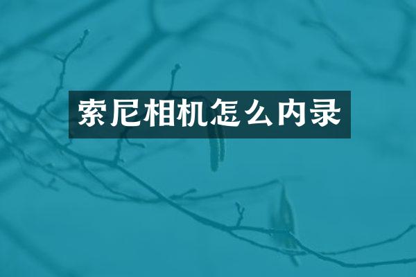 索尼相机怎么内录