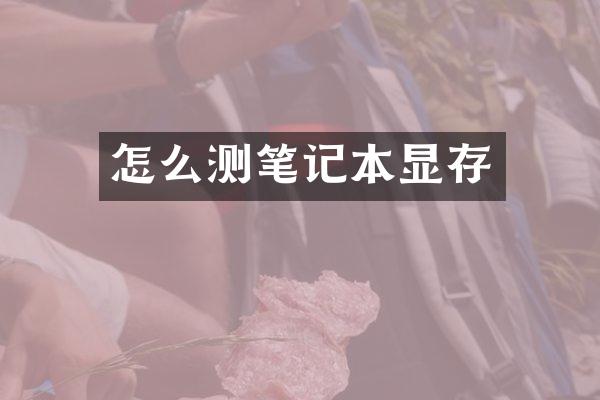 怎么测笔记本显存