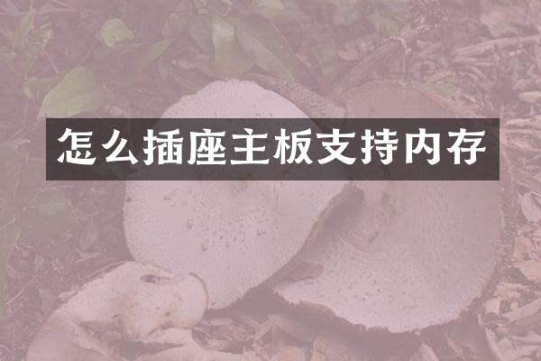 怎么插座主板支持内存