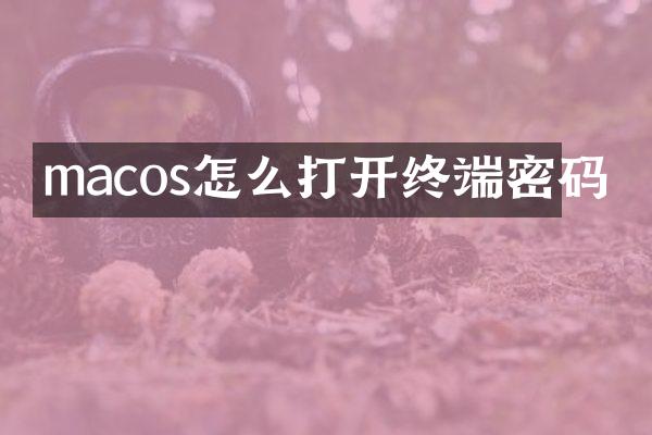 macos怎么打开终端密码