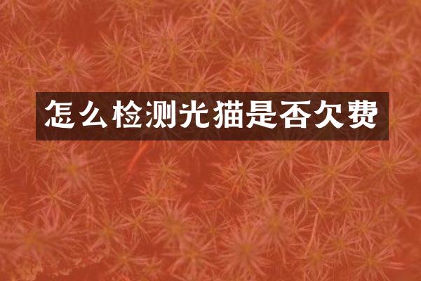 怎么检测光猫是否欠费