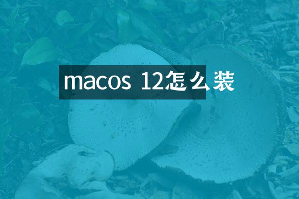 macos 12怎么装
