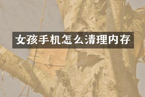 女孩手机怎么清理内存