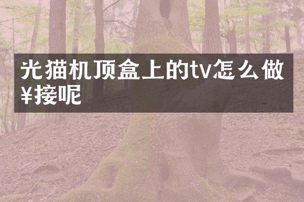 光猫机顶盒上的tv怎么做桥接呢