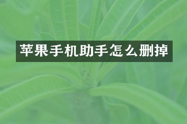 苹果手机助手怎么删掉