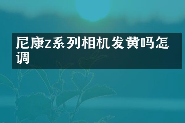 尼康z系列相机发黄吗怎么调