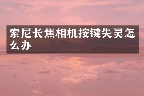 索尼长焦相机按键失灵怎么办