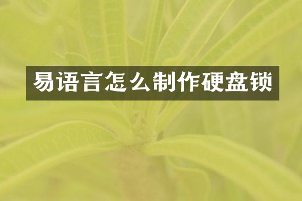 易语言怎么制作硬盘锁