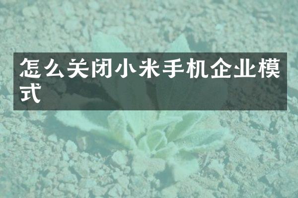 怎么关闭小米手机企业模式