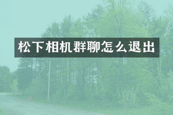 相机群聊怎么退出