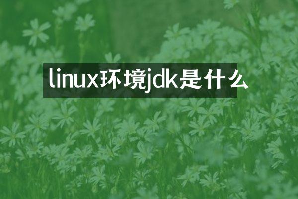 linux环境jdk是什么