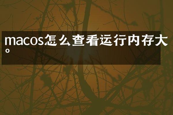 macos怎么查看运行内存大小