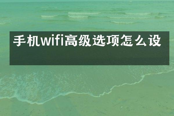 手机wifi高级选项怎么设置