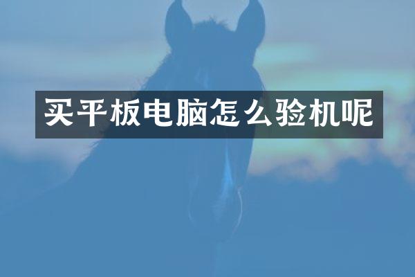 买平板电脑怎么验机呢